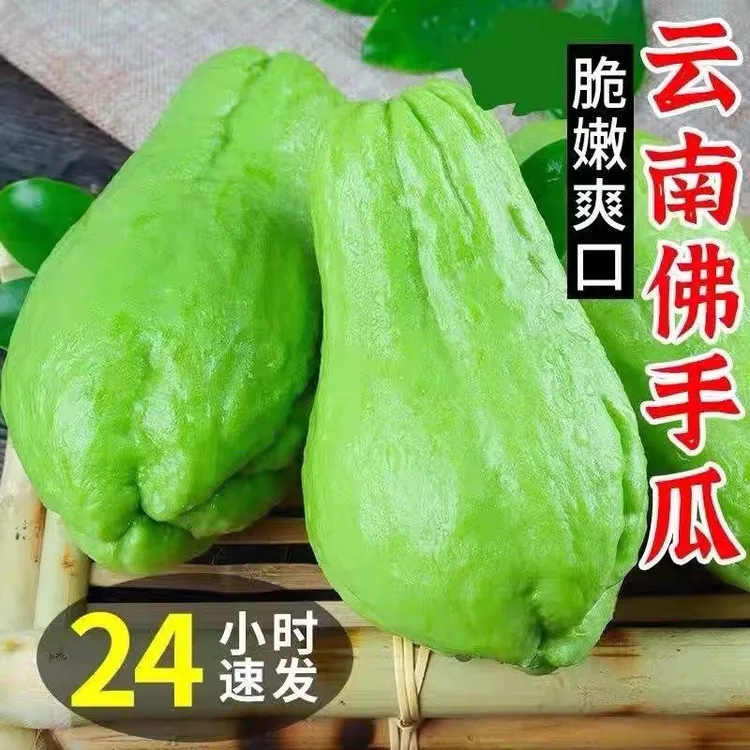 云南文山新鲜佛手瓜洋瓜口感清甜营养丰富