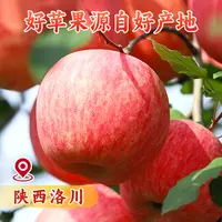【良周•迹忆】陕西延安洛川红富士苹果5斤装 单果170g+