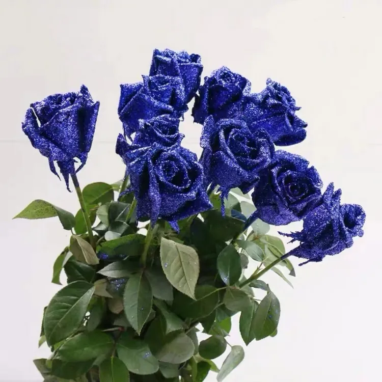蓝色妖姬玫瑰鲜花染色制作可做干花长期存放批发自然风干无需养护