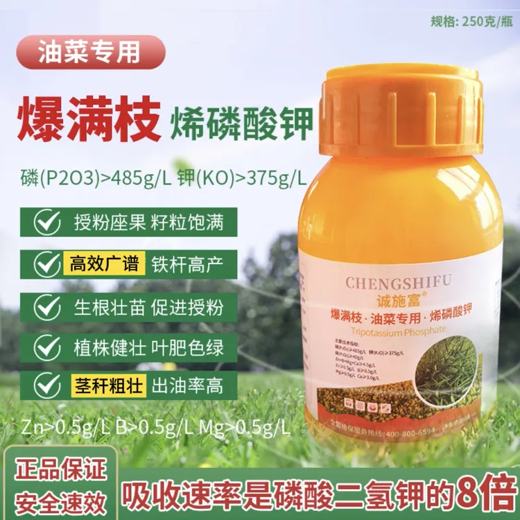 油菜肥爆满枝烯磷酸钾促授粉籽粒饱满多出油铁杆高产控旺