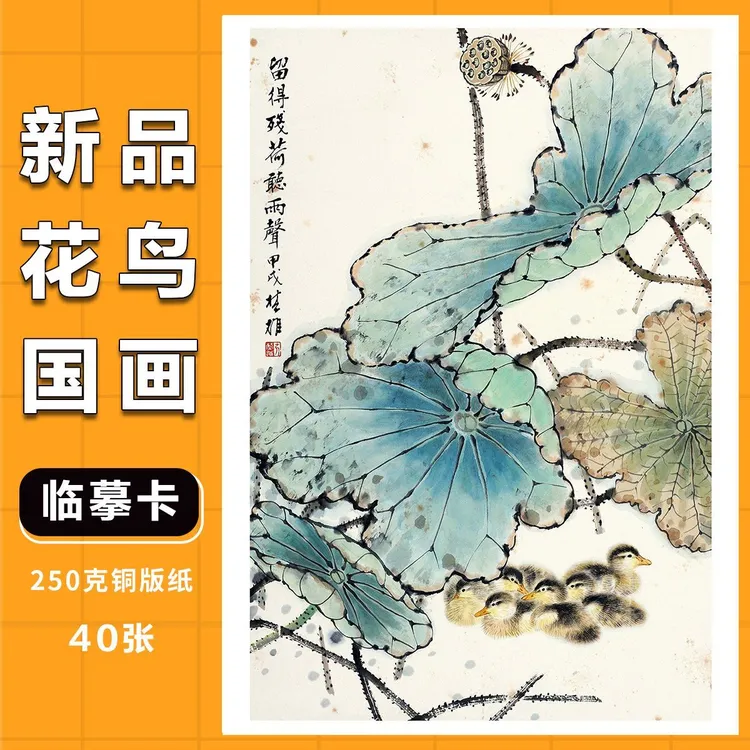 〔国画临摹卡花鸟虫鱼水墨绘画卡片〕美术生艺术机构参考范画(一)