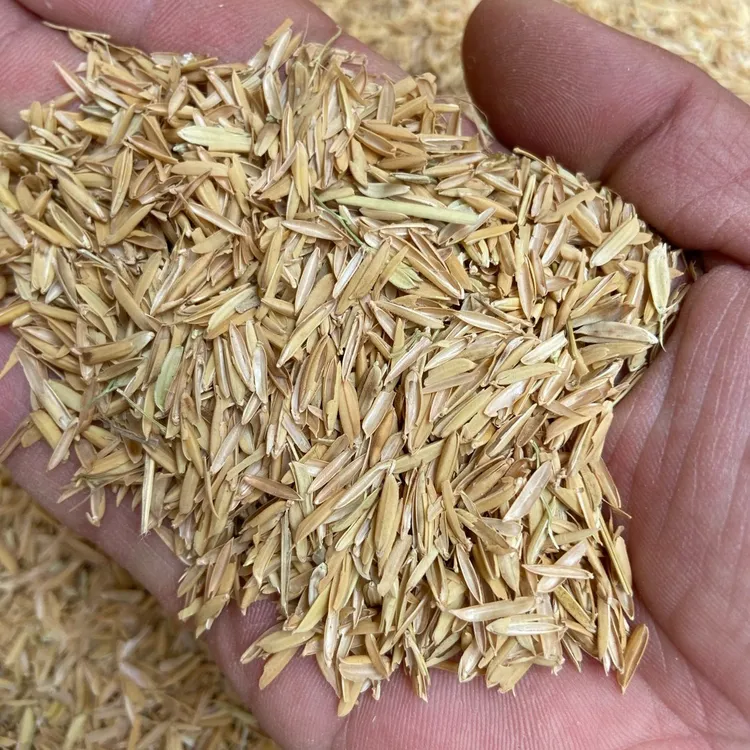 小王家稻壳精品鹌鹑稻壳鹌鹑垫料除臭吸湿保暖半年清理一次粪便