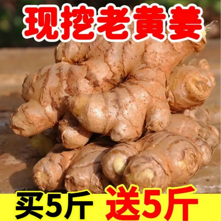 云南小黄姜姜两年老姜现挖老黄姜辛辣小黄姜月子姜嫩姜生老姜包邮