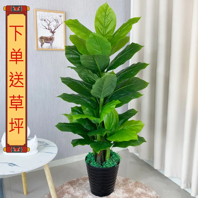 假花仿真花摆件客厅高档发财树塑料花卉仿真客厅植物摆件仿真绿植