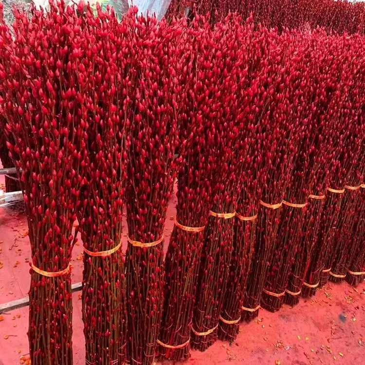 【推荐买80cm高】银柳真花鲜枝客厅干花摆件红色年宵花卉水培植物花