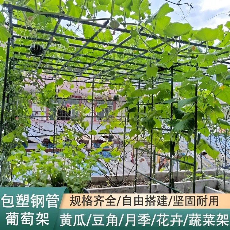 家庭园艺耐用爬藤架花支柱攀爬架子黄瓜户外阳台种菜支架包塑铁管