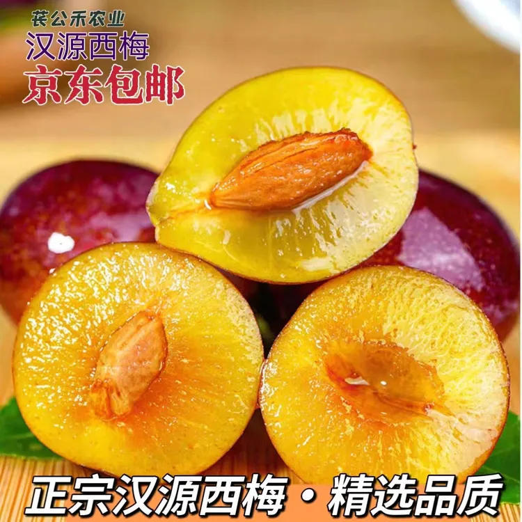 苌公禾【郡家】精选正宗四川汉源西梅2/3/5斤新鲜应季水果京东包邮