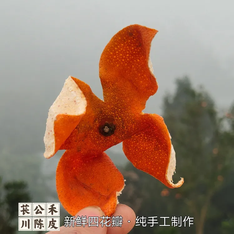 苌公禾【藏疆版】山歌响起的地方资中非遗老树川红桔大红袍川陈皮