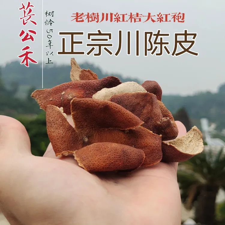 苌公禾【郡家】正宗资中非遗川陈皮大红袍古书记载高品质纯手工陈皮