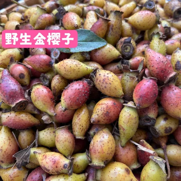 江西赣南野生金樱子刺梨子可泡酒用