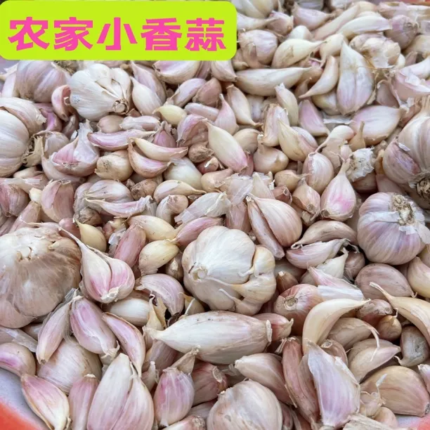 江西赣南农村蔬菜农家小香蒜农家自种大蒜土特产干货蒜头香料配菜