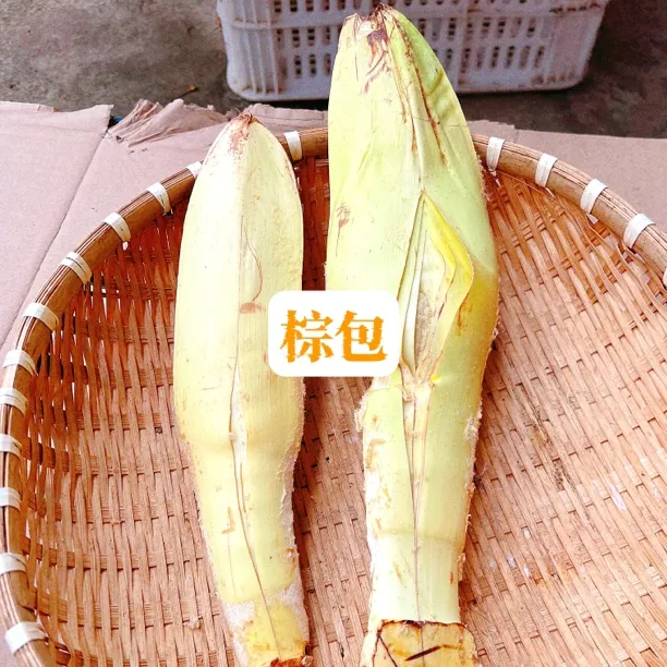 江西赣南农村自种蔬菜棕树棕苞