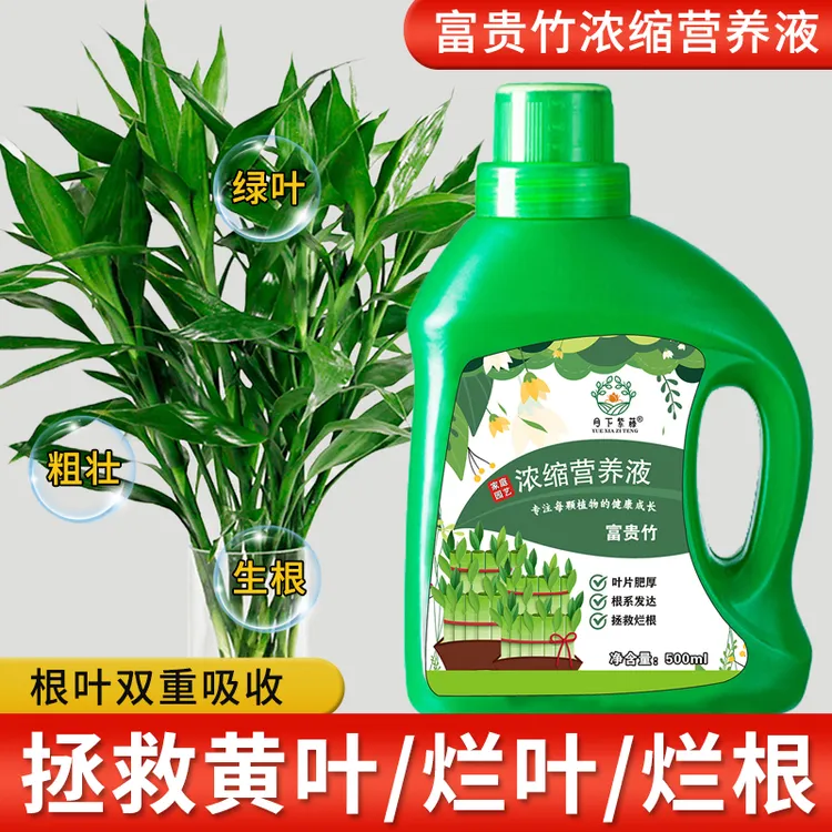 富贵竹专用营养液水培植物肥料观音竹子家用专治黄叶养花烂根预防