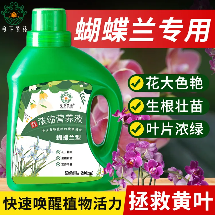 蝴蝶兰专用肥植物营养液兰科君子兰墨兰促进开花绿叶液体肥