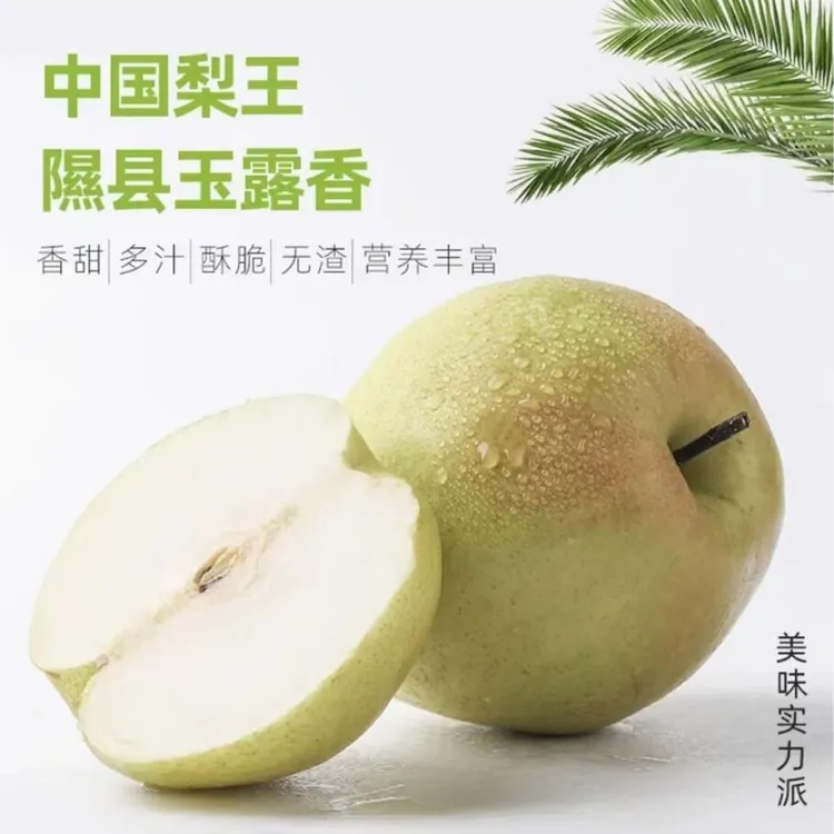 山西隰县新鲜酥脆香甜皮薄爽口玉露香梨，5斤精品梨王礼盒装甘甜