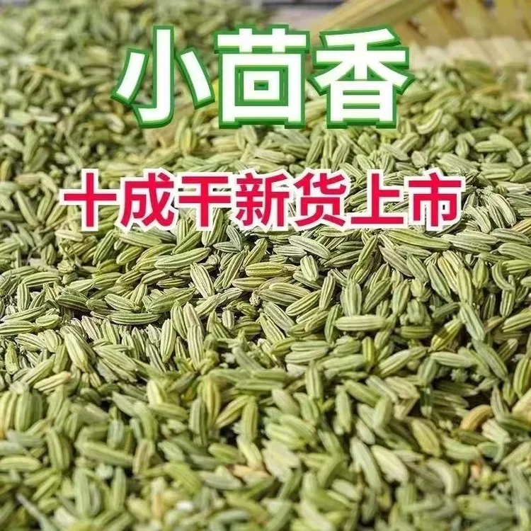 十成干小茴香新货甘肃茴香颗粒小茴香粉火锅汤卤肉卤鸡爪另售八角