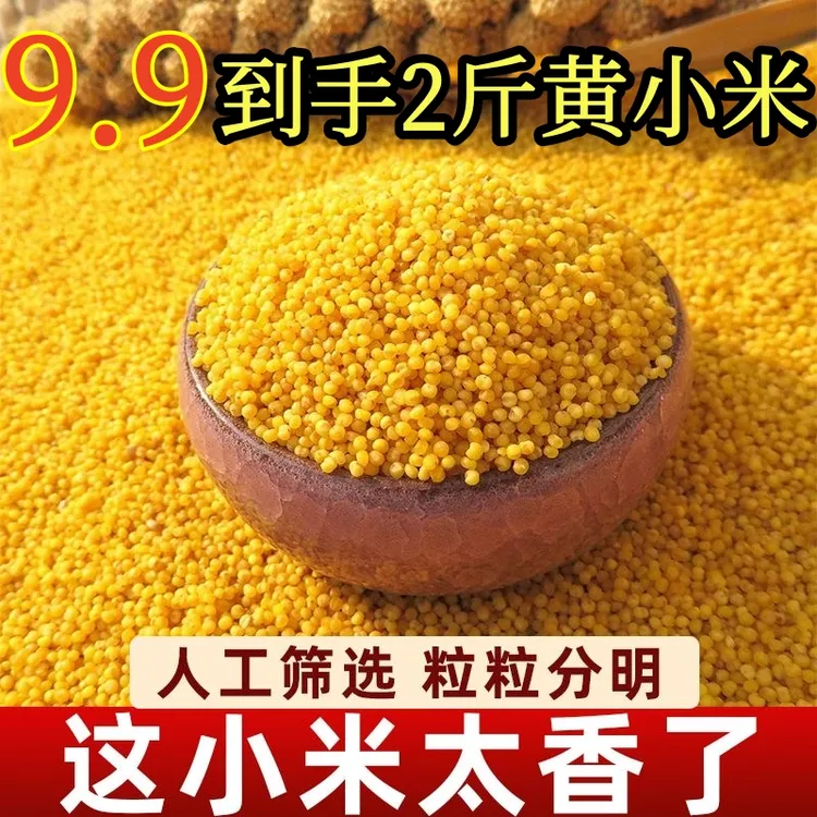 2斤黄小米新米米脂黄小米月子米 小黄米 小米粥 宝宝米米油醇厚