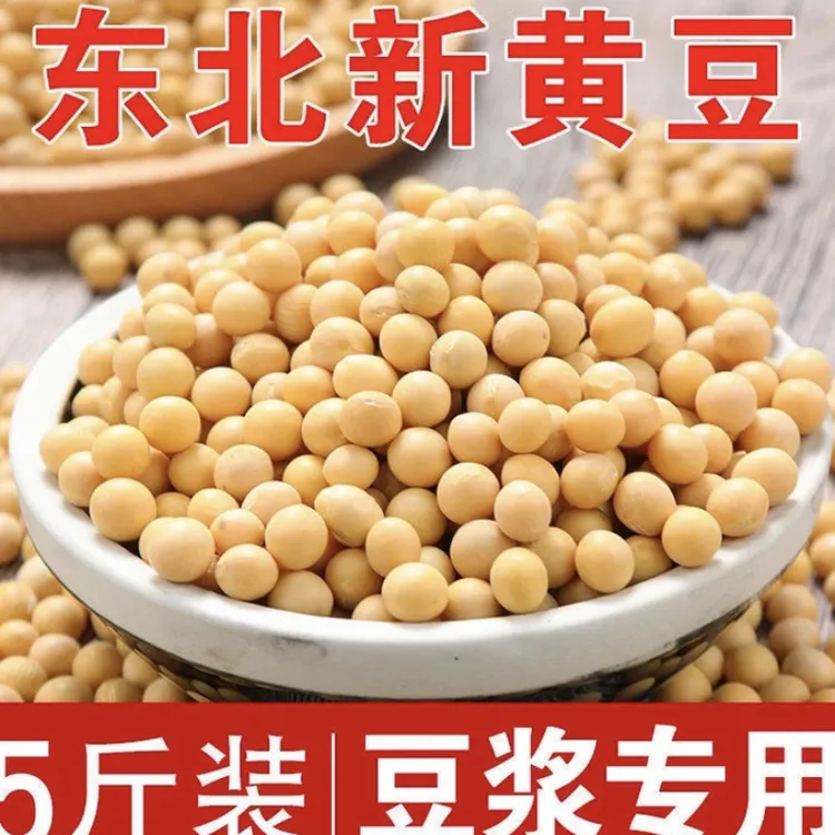 黑龙江高蛋白黄豆 豆腐坊榨豆浆专用