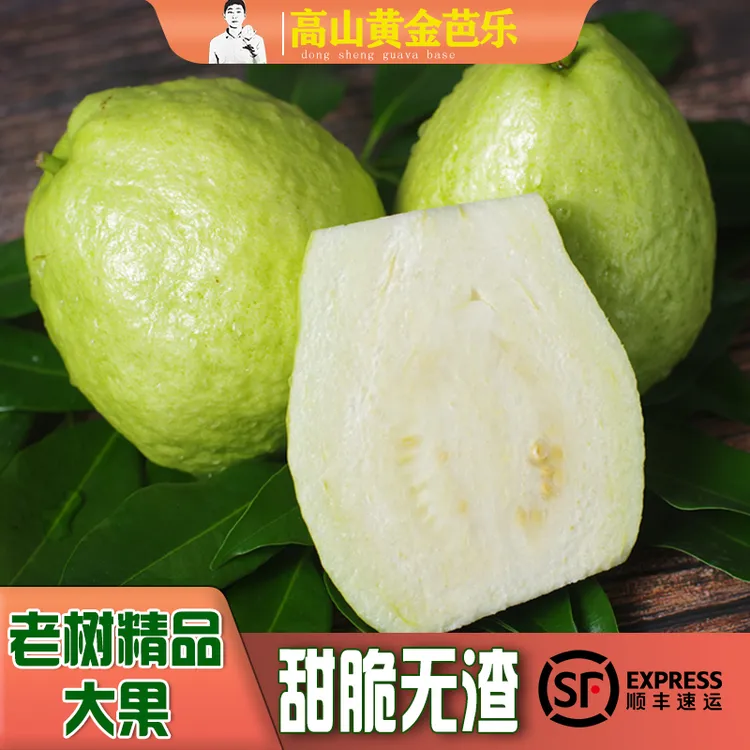 东生番石榴白心芭乐 精品老树大果3-8斤甜脆非软糯红心基地直发