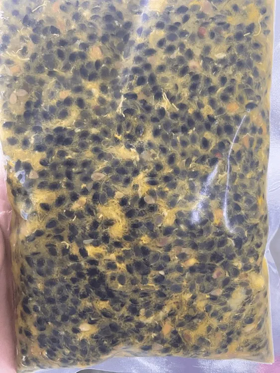 百香果（三拼果肉籽 可能会有个别果把 介意勿拍）