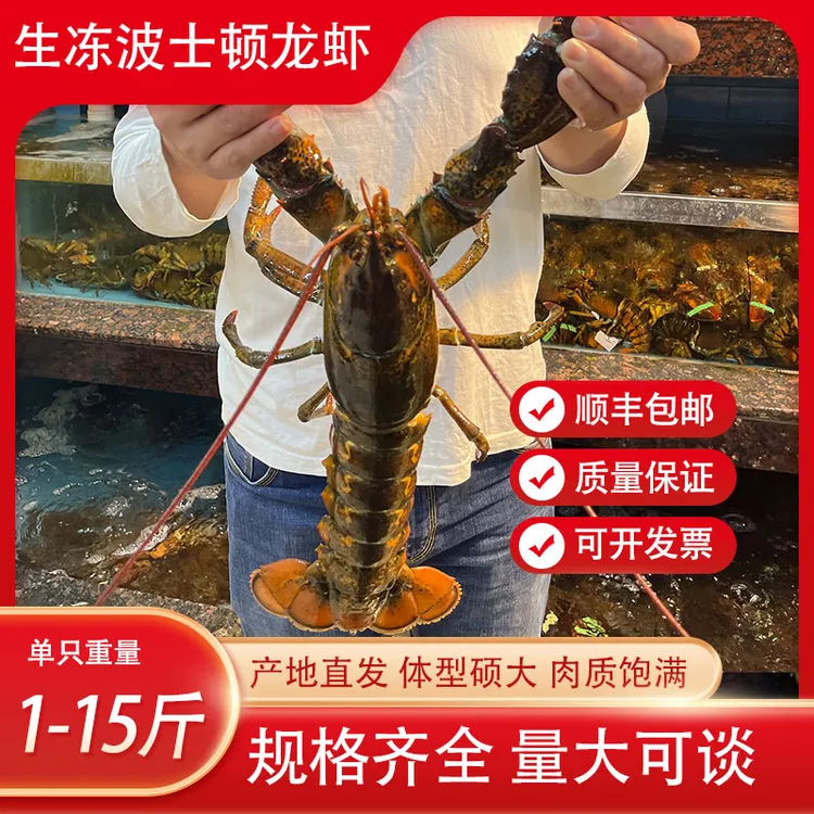 波士顿龙虾生冻波斯顿大虾食用水产速冻海鲜超大加拿大澳龙龙虾