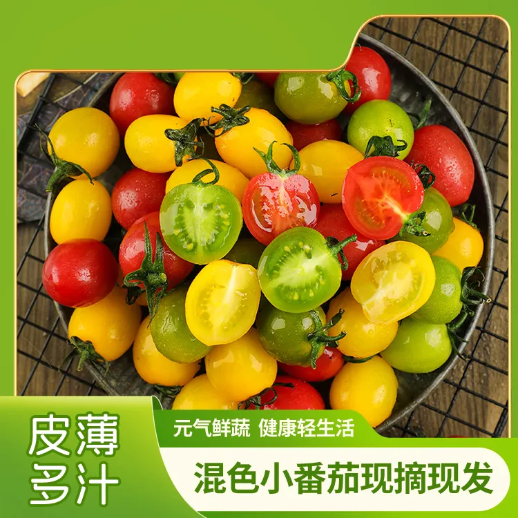 【顺丰/京东包邮】现摘现发山东寿光圣女果三色小番茄
