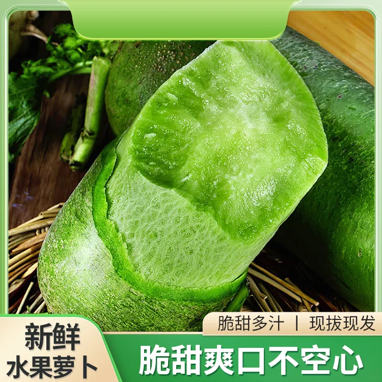 山东新鲜现拔水果青萝卜脆甜多汁可生吃优质农产品