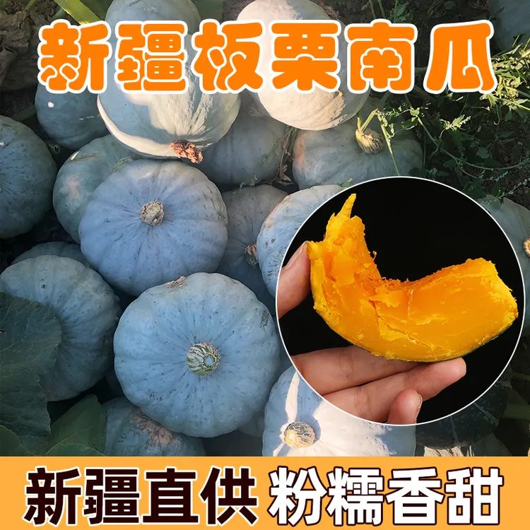 不粉包退精选新疆银板栗老南瓜5斤粉糯香甜宝宝辅食低卡代餐