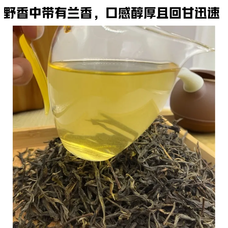 2025年新茶老树普洱散茶【500克装】地处高海拔独特的口感和香气‌