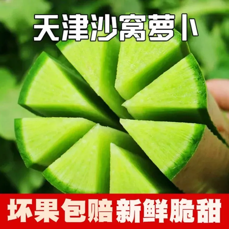 天津正宗沙窝水果萝卜青萝卜新鲜5斤-9斤装生吃清脆（陆地天星2号）