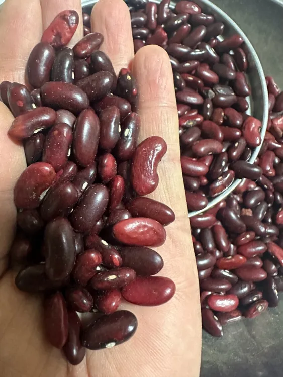 云南新货红腰豆红芸豆大红豆五谷杂粮豆沙馅粗粮