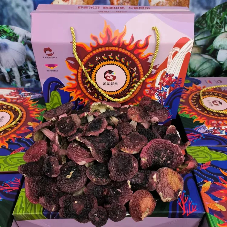 云南特产野生大红菌干货100g装