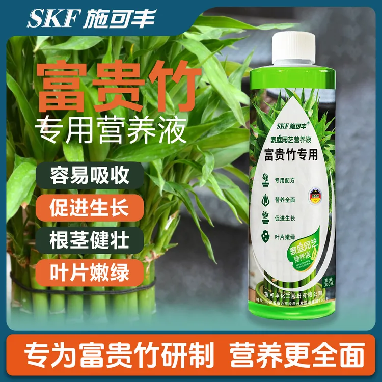 富贵竹专用营养液发财竹观音竹铜钱草夏威夷绿植盆栽养花肥料