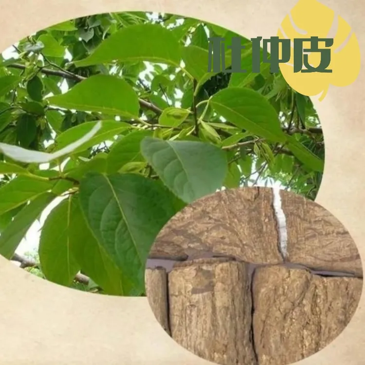 精选好物洒泡洒料，杜中100g、 骨碎补200g等拍一发十