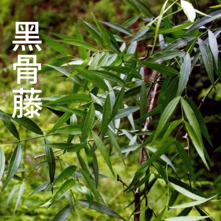 外用洒 泡洒料，腰颈可用，黑古藤等散装