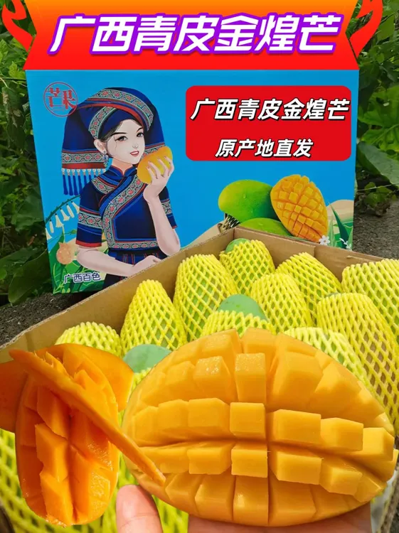 广西金煌芒果成熟了香味浓浓新鲜采摘水果甜心芒香甜多汁无筋无丝