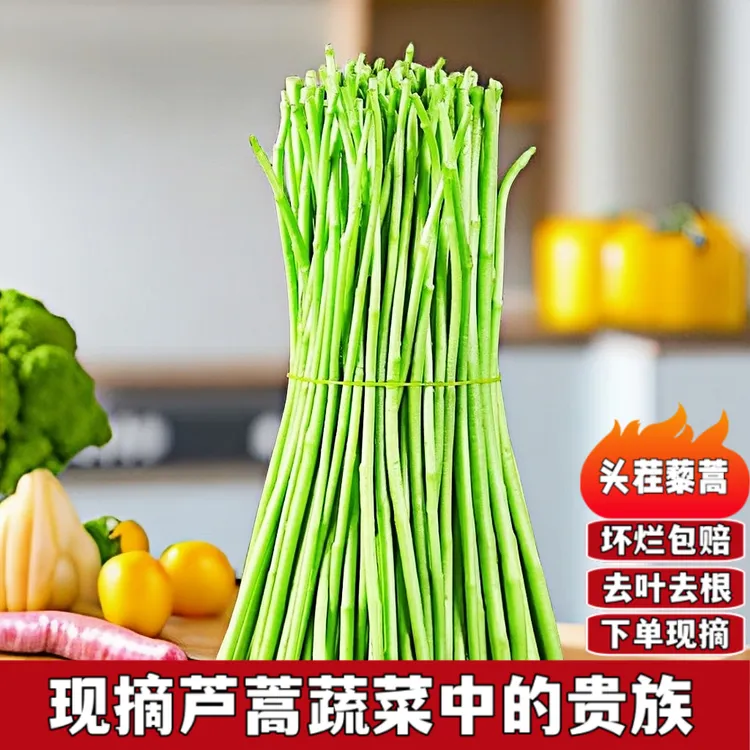 农家现摘新鲜芦蒿杆叶嫩茎蒌蒿柳叶蒿藜蒿鲜当季蔬菜鲜食用泥蒿