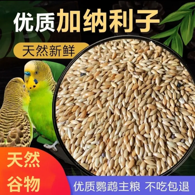 加纳利子新鸟食白尖仔草庐籽饲料金丝雀食粮增肥鹦鹉食粮