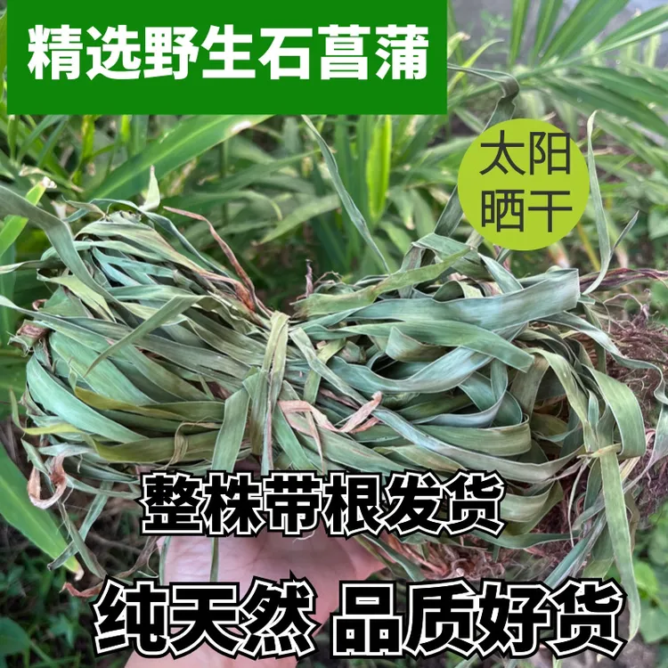 客家野姜苗天然晒干野生石菖蒲香藤小九节产妇泡澡小孩感冒用