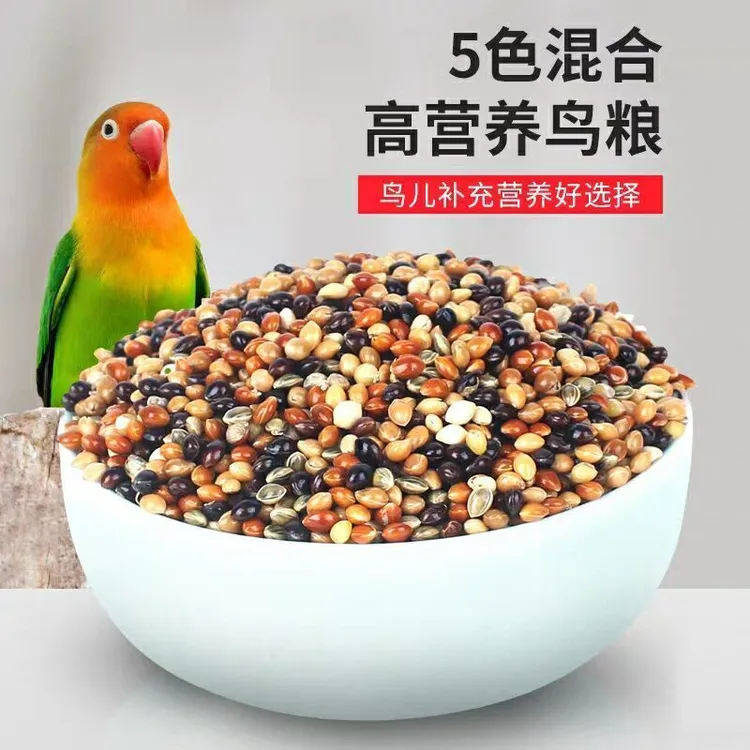 新粮鸟食五色混合黍子中小型鸟混合粮谷子优质新鲜颗粒多种鸟粮