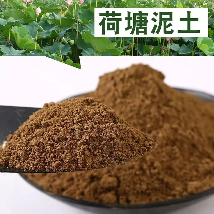 天然荷塘泥园土水培碗莲淤泥菜田园土水生花卉生长泥土种菜土栽种