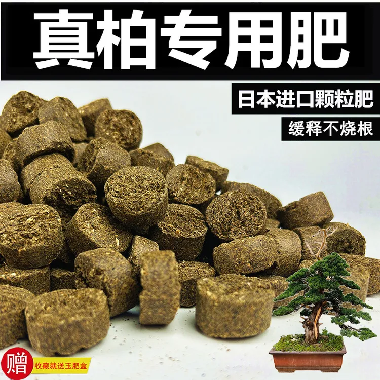 真柏专用肥长效有机缓释肥日本原装进口肥花卉专用肥玉肥盆景肥
