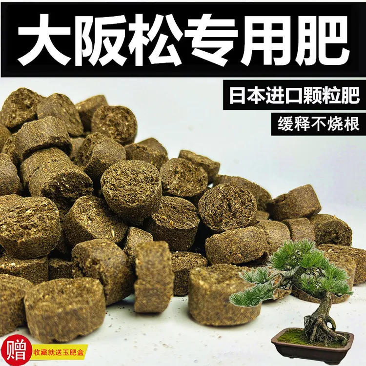 大阪松专用肥长效有机缓释肥日本原装进口肥花卉专用肥玉肥盆景肥