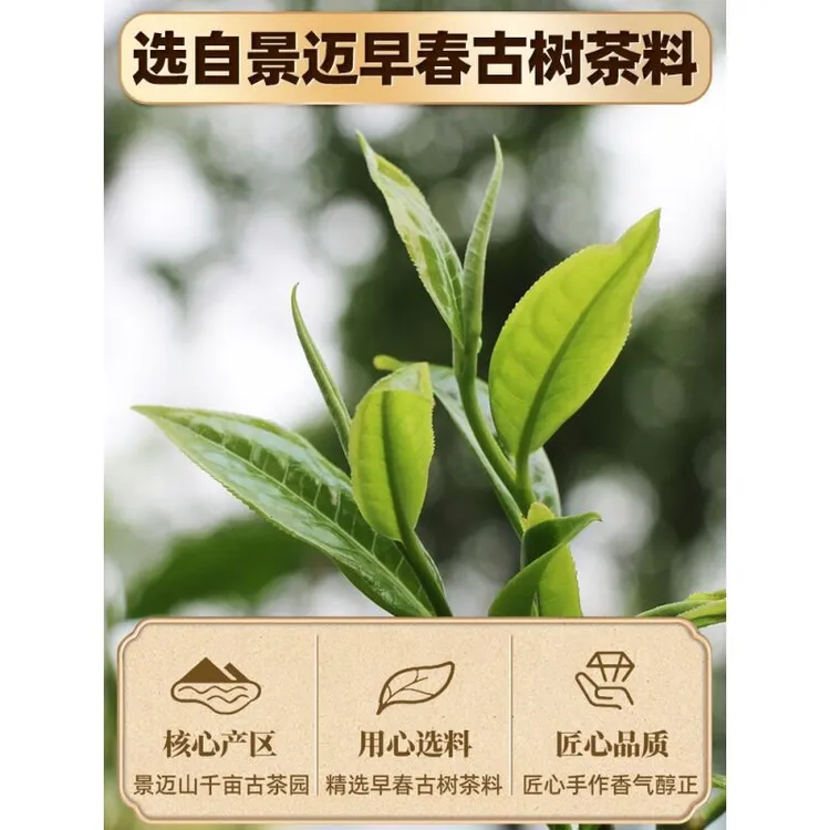 布朗风物云南茗茶古树白茶100克