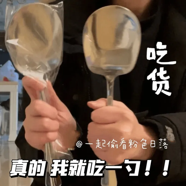 干饭人必备不锈钢搞笑女生超大干饭勺网红勺子家用长柄勺子汤勺