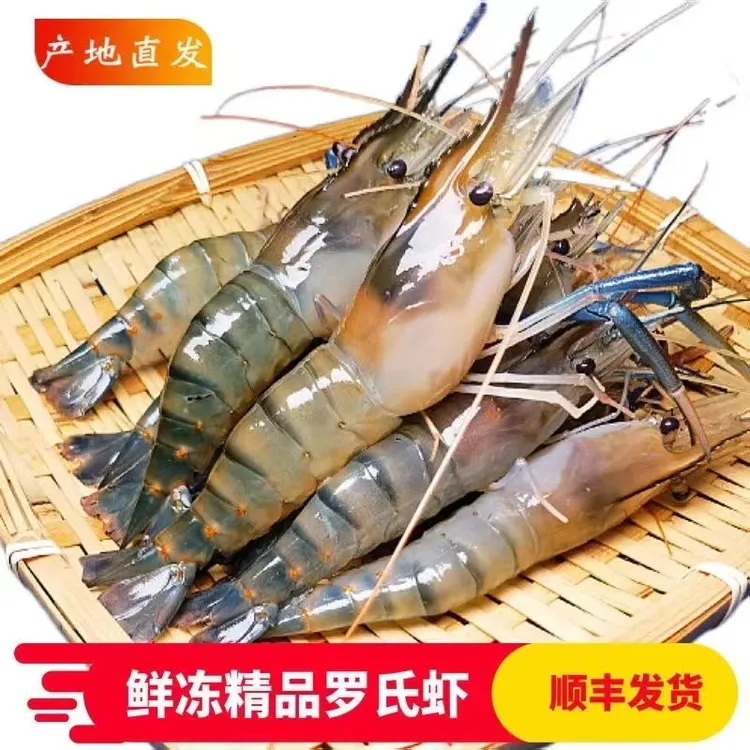 罗氏虾鲜活速冻罗氏沼虾大头虾冷冻河虾原场地直销顺丰速运新鲜