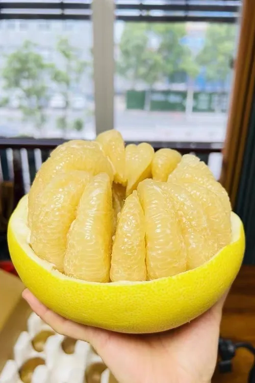 台州正宗玉环文旦柚子高山老树大果现摘精品果清甜水嫩爆汁饱满