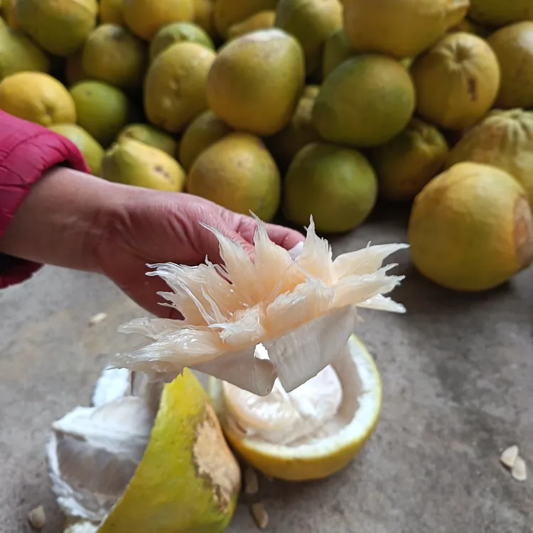 【花皮丑柚子】正宗江永老树香柚沙田柚果面有瑕疵果肉纯甜无酸