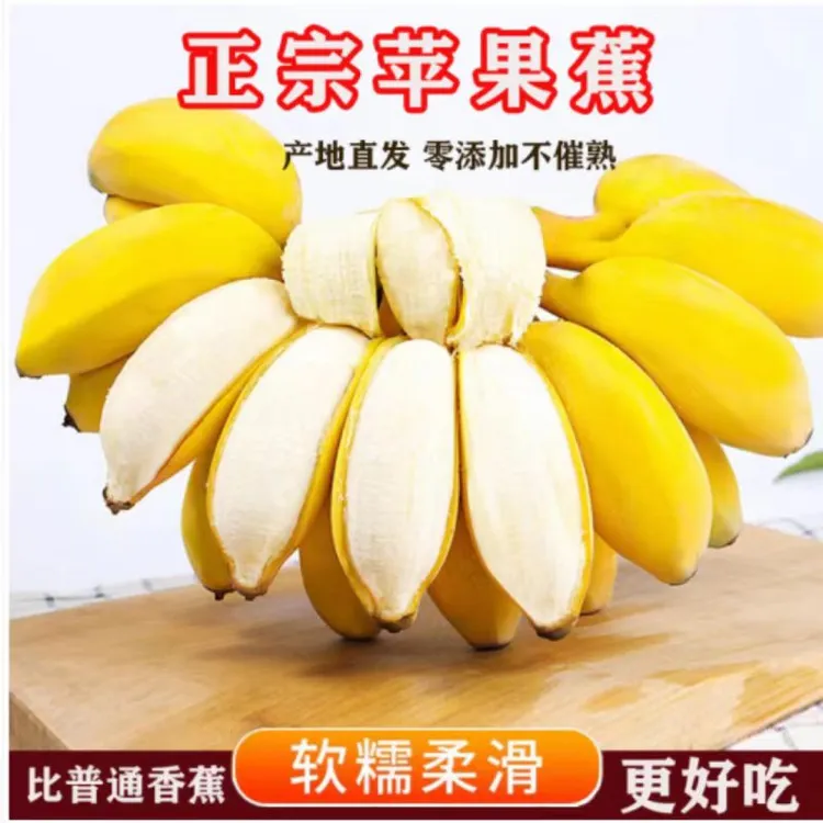 A广西正宗苹果蕉现摘现发产地直发9斤5斤3斤应季新鲜水果粉蕉香蕉