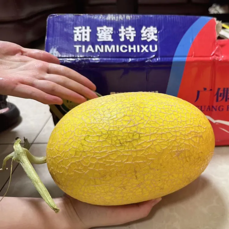 海南哈密瓜 清新可口 皮薄肉厚 清甜多汁 4.5~5斤